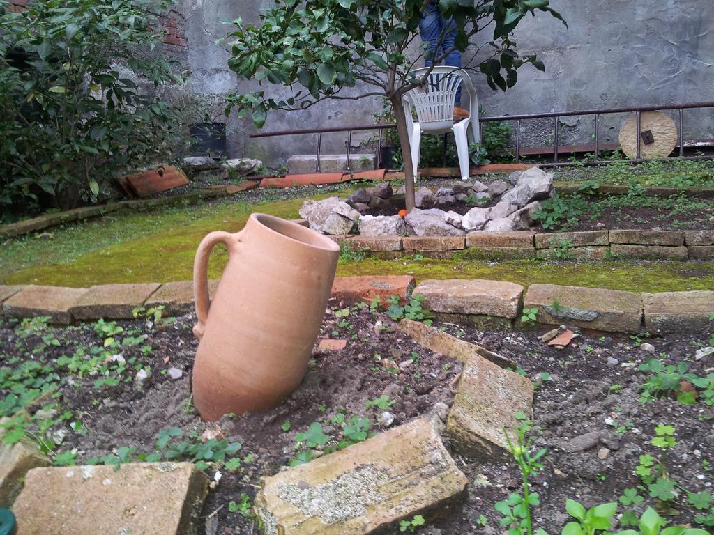 Rosa Thea Suite Taormina Rum bild